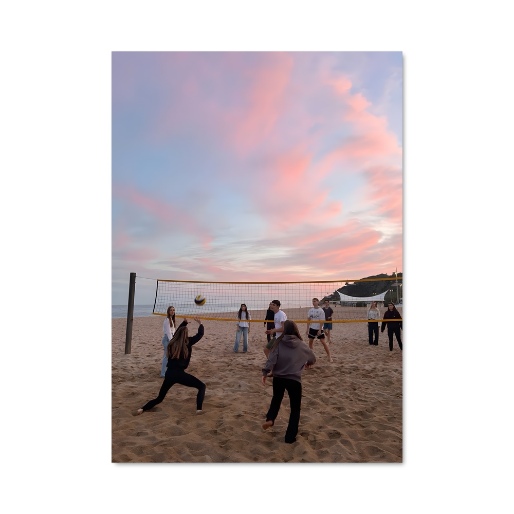 Poster Spike sur la Plage